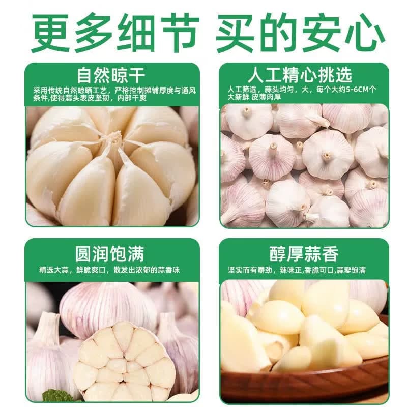 同款山东金乡大蒜头紫皮蒜新鲜颗粒生鲜蔬菜产地直发发芽种植挑选 - 缩略图4