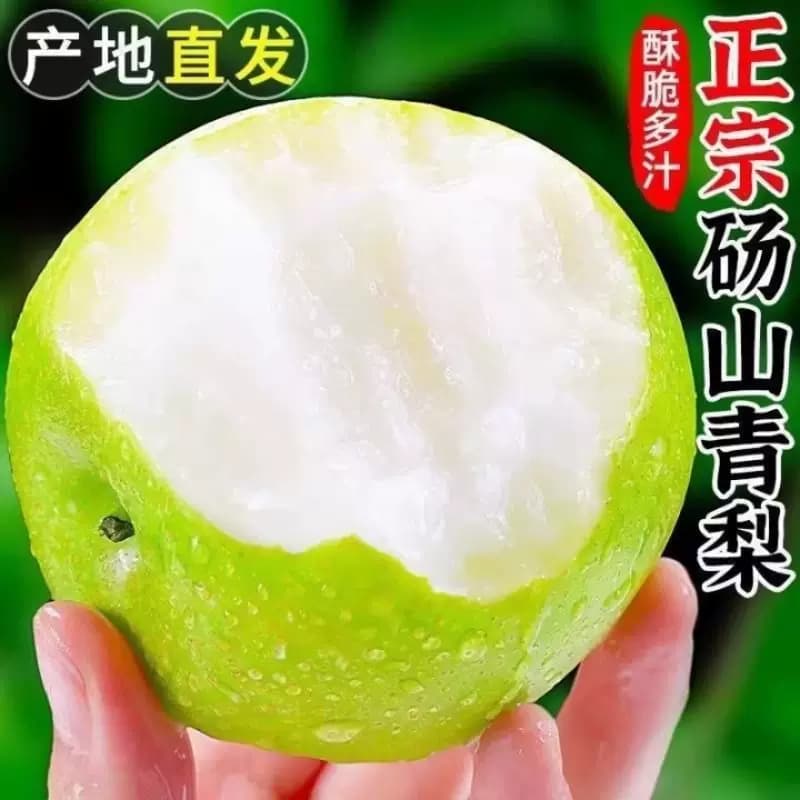 现摘砀山青梨酥脆一号皇冠梨10斤新鲜梨子水果翠冠梨香酥雪梨青皮 - 缩略图2