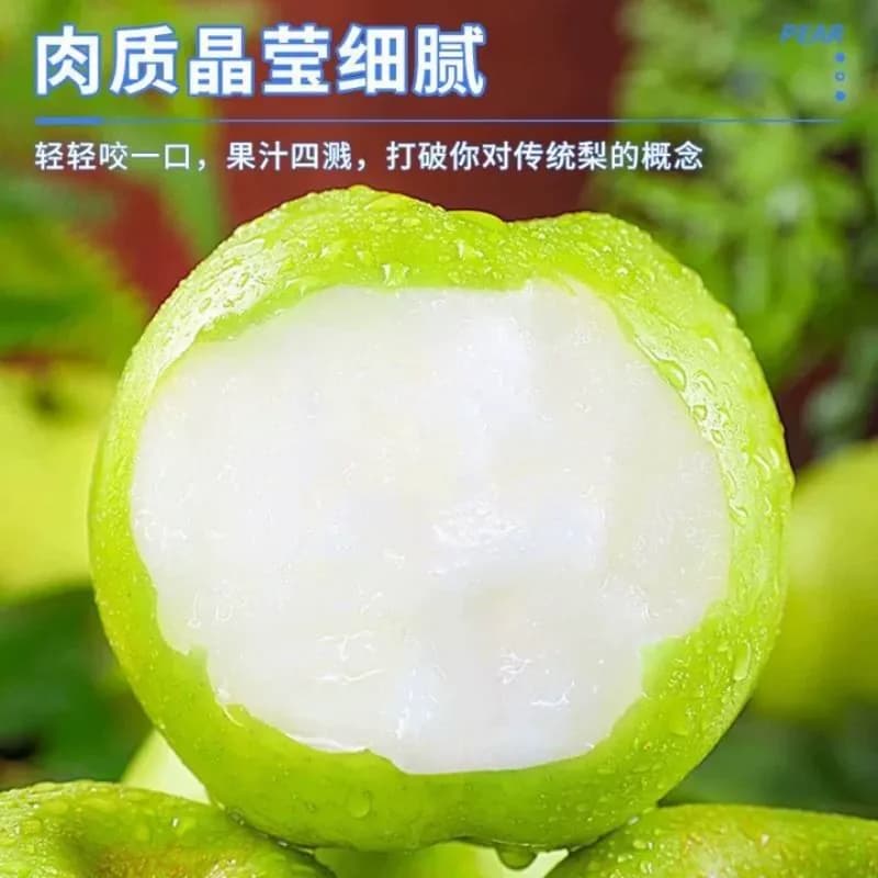 【芭芭农场兑换专享】翠冠梨3斤单果150g+ - 缩略图2