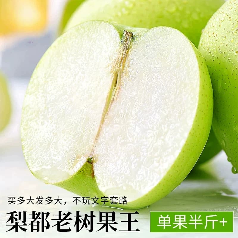 正宗砀山青梨新鲜水果皇冠梨10斤当季青皮蜜梨整箱包邮现摘果子 - 缩略图5
