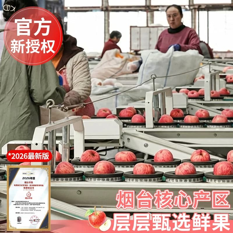 正宗烟台红富士苹果现摘应当季新鲜水果整箱山东脆甜冰糖心精品 - 缩略图4