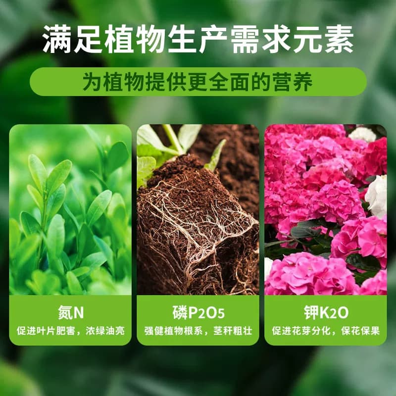 营养土养花通用型家用种花专用土多肉土壤种植花土泥炭种菜土酸性 - 缩略图4