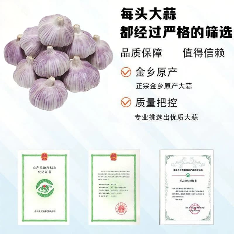 山东新干蒜12359斤批发金乡大蒜紫皮大蒜白皮大蒜头包邮自提新鲜 - 缩略图4