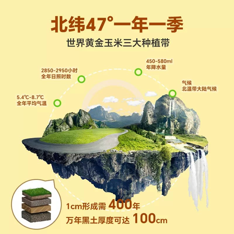 【芭芭农场】有机黄甜粘糯玉米2.5kg - 缩略图3