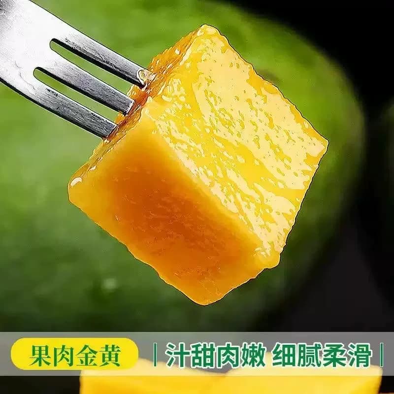 【芭芭农场兑换专享】大青芒3斤装单果400g＋ - 缩略图5
