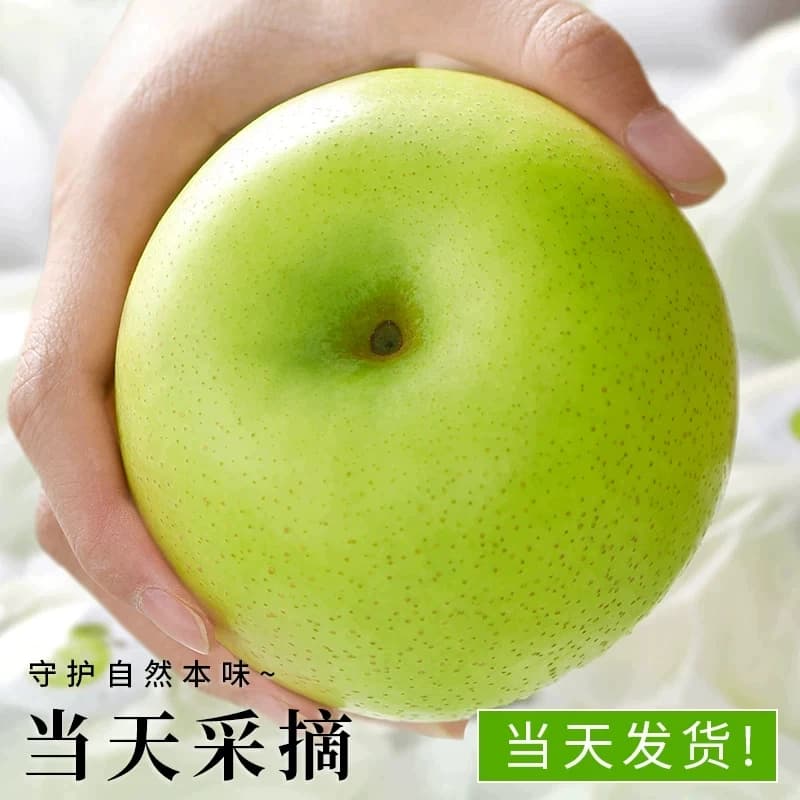 正宗砀山青梨新鲜水果皇冠梨10斤当季青皮蜜梨整箱包邮现摘果子 - 缩略图3
