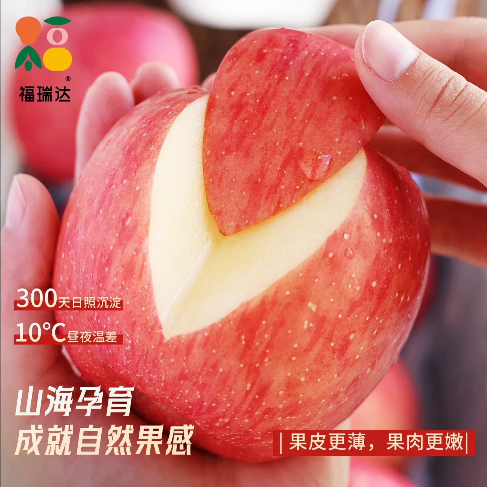 正宗烟台红富士苹果新鲜水果当季现摘山东栖霞脆甜冰糖心苹果整箱 - 缩略图4