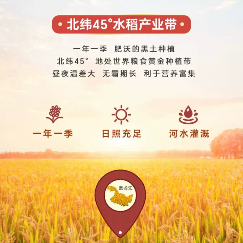 【芭芭农场兑换专享】稻花秦500g东北大米当季新米 - 缩略图3