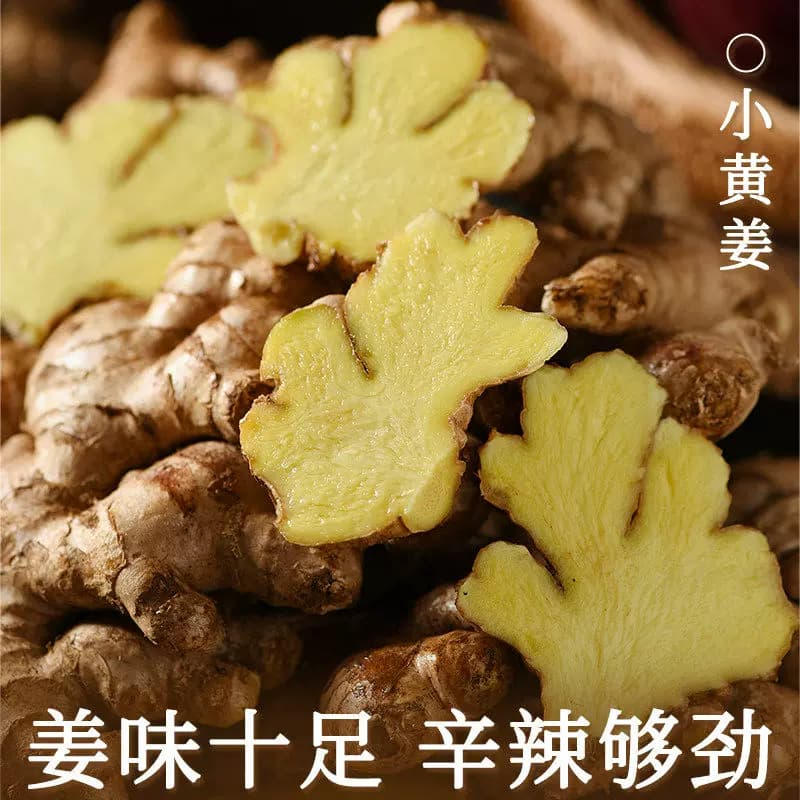 现挖老姜小黄姜生姜应季新鲜蔬菜姜云南特级批发调味料月子姜食用 - 缩略图4