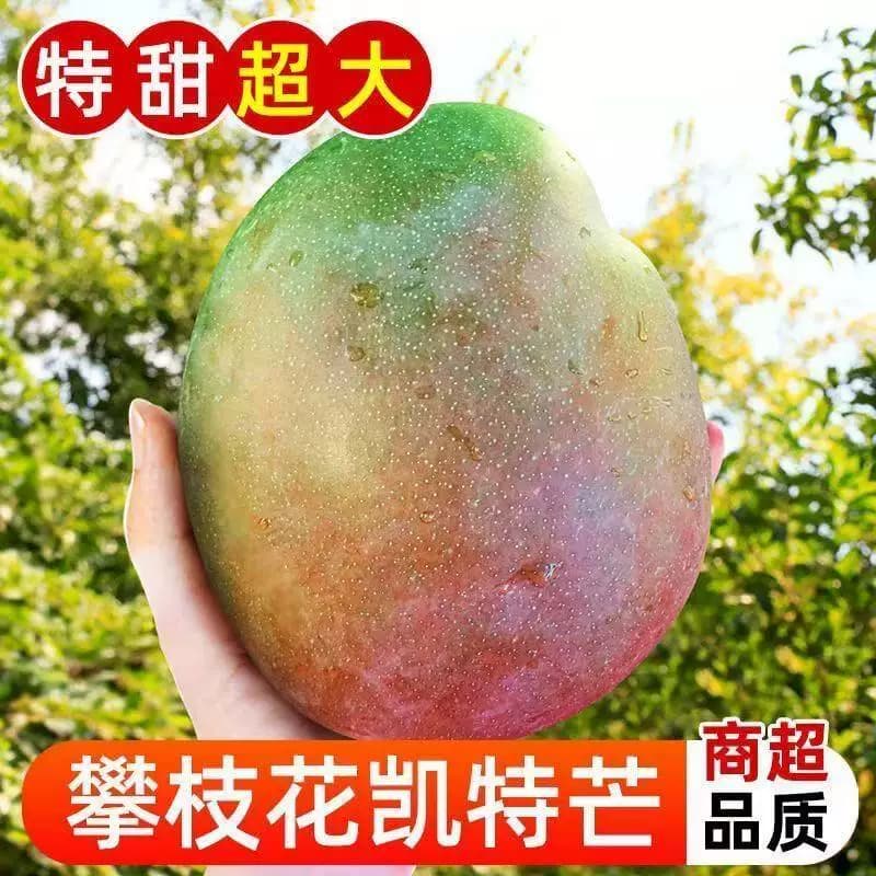 四川攀枝花凯特芒果新鲜采应季斤水果芒果整箱包邮特大青忙果当季 - 缩略图3