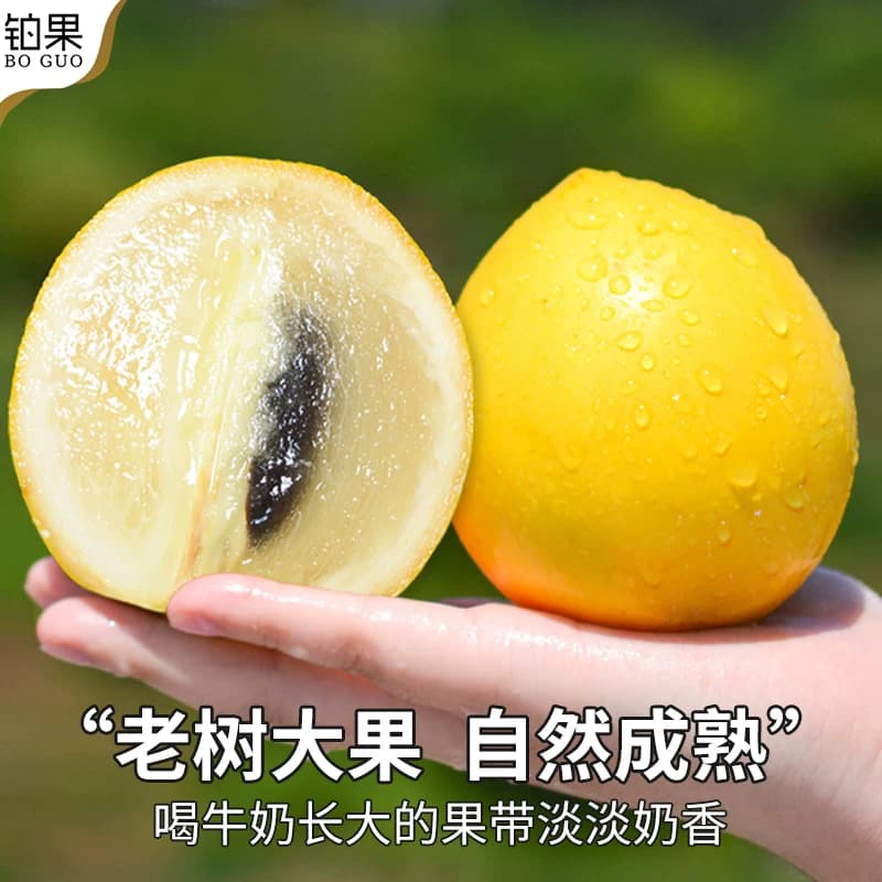 顺丰 黄晶果300g+超果王级云南版纳树熟新鲜水果牛奶果高端品种 - 缩略图3