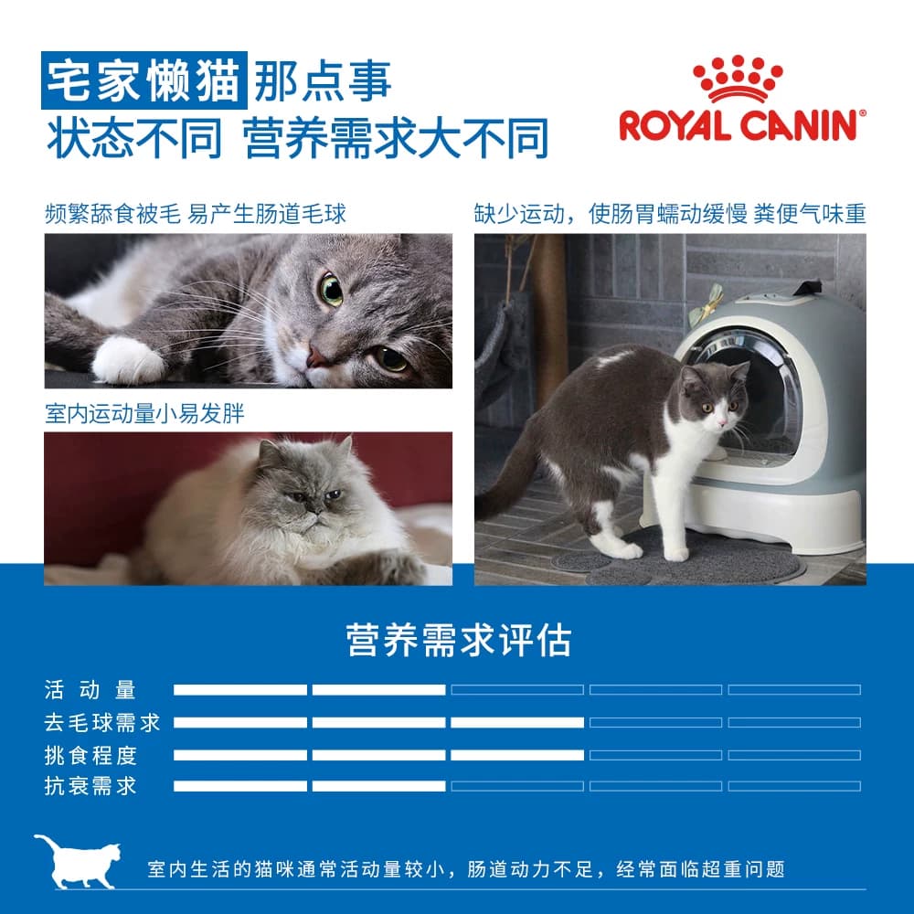 皇家猫粮I27室内成猫S27老年猫英短蓝猫布偶猫主粮官方授权旗舰店 - 缩略图3
