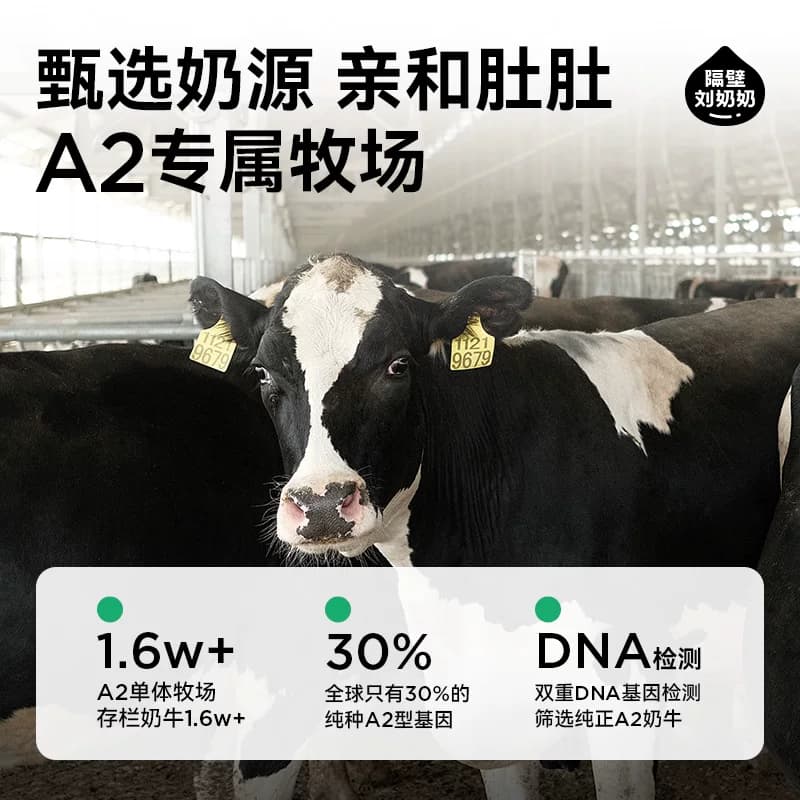 隔壁刘奶奶miniA2β-酪蛋白纯牛奶125ml*4盒高钙宝宝牛奶 - 缩略图2