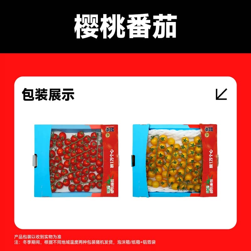 【一颗大】串收樱桃番茄甄选端午礼盒新鲜采摘酸甜多汁 - 缩略图5