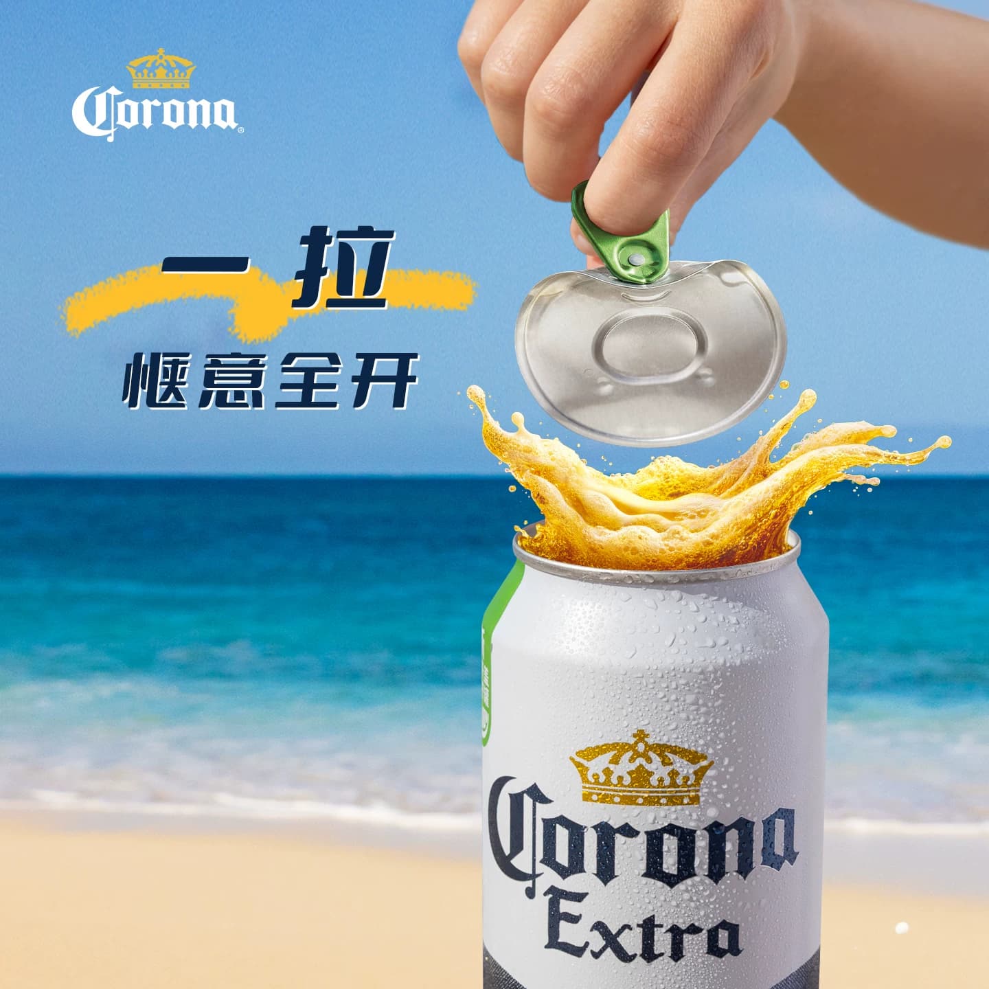 Corona/科罗娜特级啤酒11.3°P拉格啤酒500ml*3听 - 缩略图2