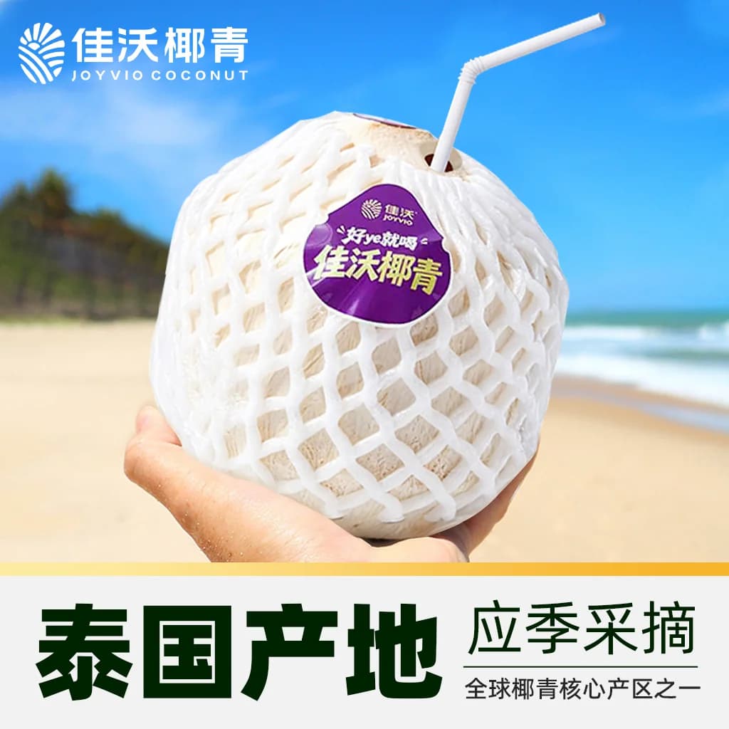【下拉跳转更优惠】佳沃泰国进口椰子香水奶椰整箱椰子水做椰子鸡 - 缩略图3