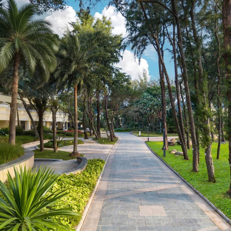 【开业特惠】紫荆维景酒店1-2晚含早套餐+疗愈体验等 深圳酒店近较场尾海滩 - 缩略图4