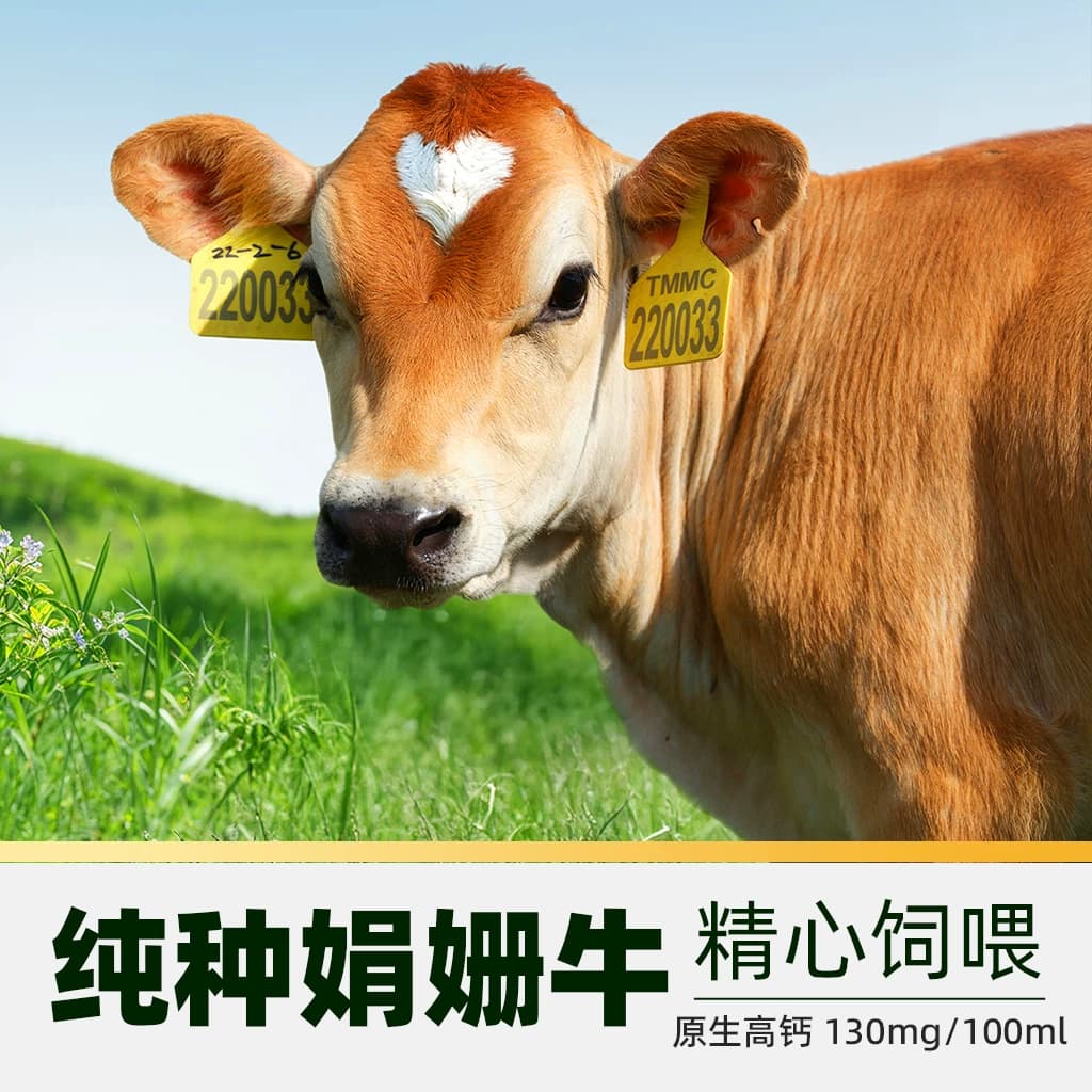 猫超臻选娟姗有机伊利金典纯牛奶200ml*10盒4.0g优质乳蛋白4月产 - 缩略图4