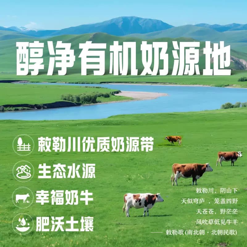 【中秋礼盒】【5月产】伊利金典梦幻盖有机纯牛奶敕勒川限定牧场 - 缩略图3