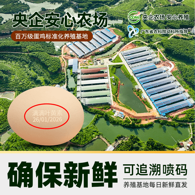 猫超臻选叶黄素鸡蛋50g*30枚蛋益满满无抗无沙门氏菌溏心可生食级 - 缩略图3