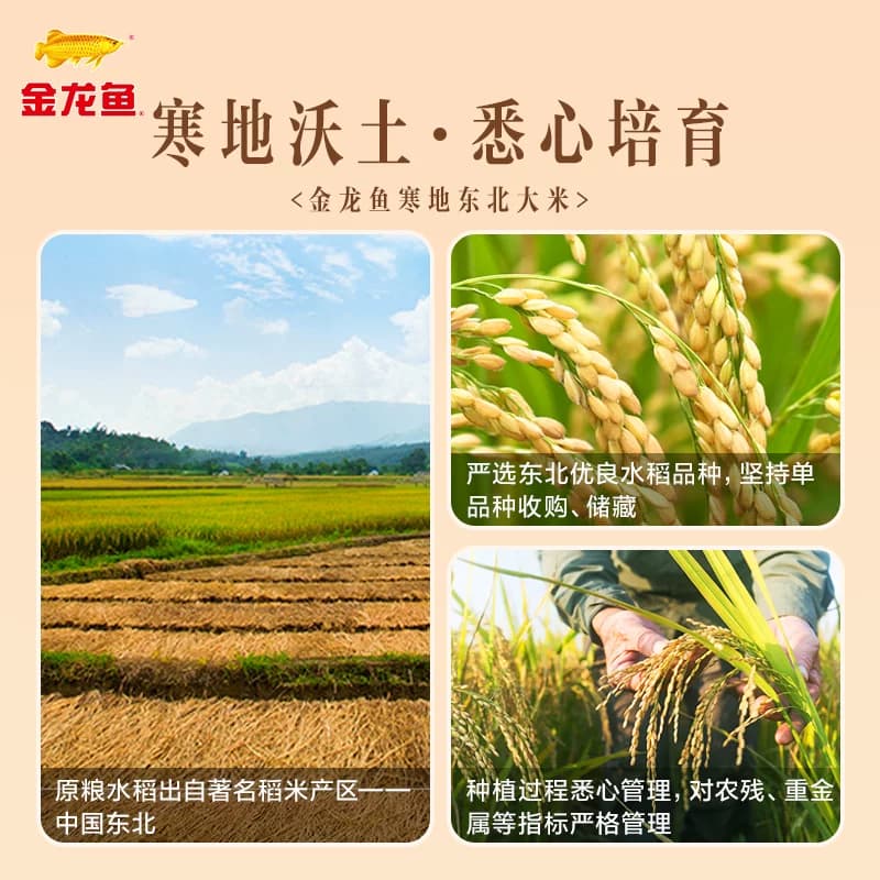 金龙鱼寒地东北大米生态米经典圆粒米 - 缩略图3