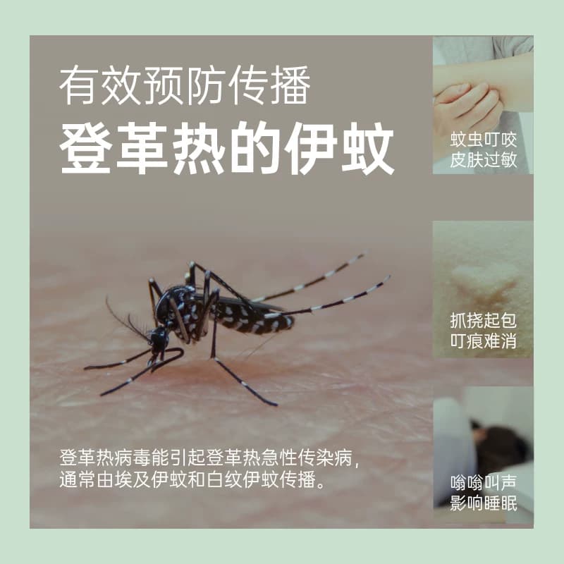 榄菊蚊香预防蚊虫伊蚊艾草清香型盘香30圈实惠家庭装持久驱蚊 - 缩略图3