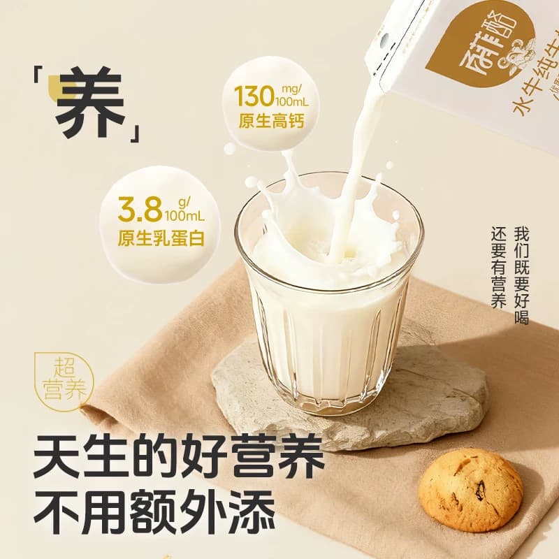 百菲酪水牛纯牛奶学生儿童成长早餐营养奶牛奶整箱纯奶水牛奶 - 缩略图2