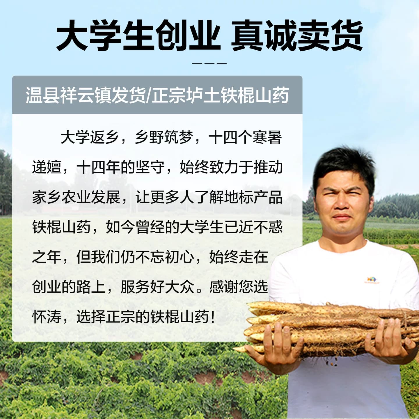 怀涛铁棍山药河南焦作温县正宗垆土铁棍淮山药新鲜5斤铁杆怀山药 - 缩略图3