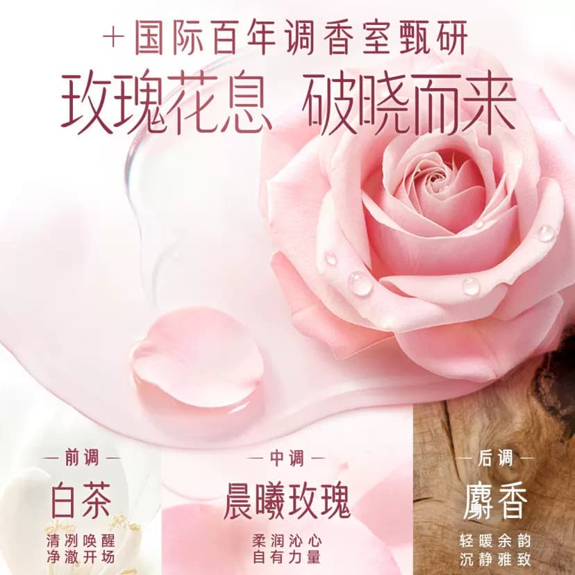 海飞丝玫瑰香氛双抗瓶洗发水控油蓬松型去屑止痒男女士洗发露 - 缩略图5