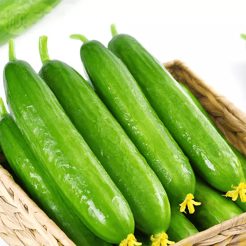【繁花似锦】新鲜水果黄瓜脆爽生食脆嫩无刺健康蔬菜 - 缩略图3