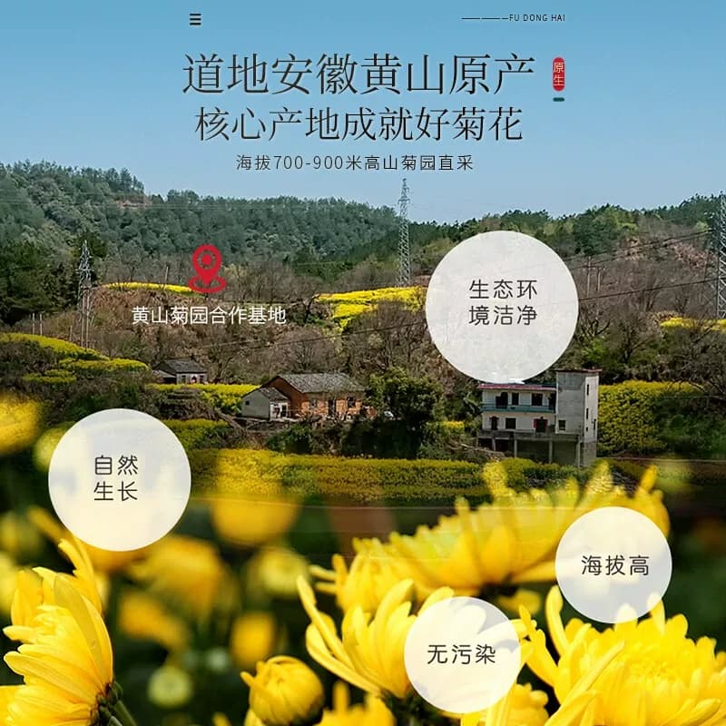 福东海金丝皇菊黄菊胎贡菊花茶去火非特级决明子金银花草茶大菊花 - 缩略图4