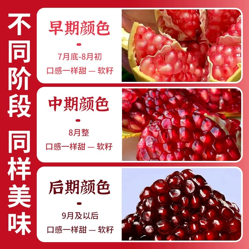 【芭芭农场】正宗突尼斯软籽石榴新鲜水果当季红宝石产地直发 - 缩略图5