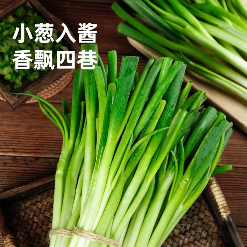 海天葱油拌面酱200g松茸鸡肉味蘸食酱拌饭调味酱香菇辣椒酱豆瓣酱 - 缩略图4