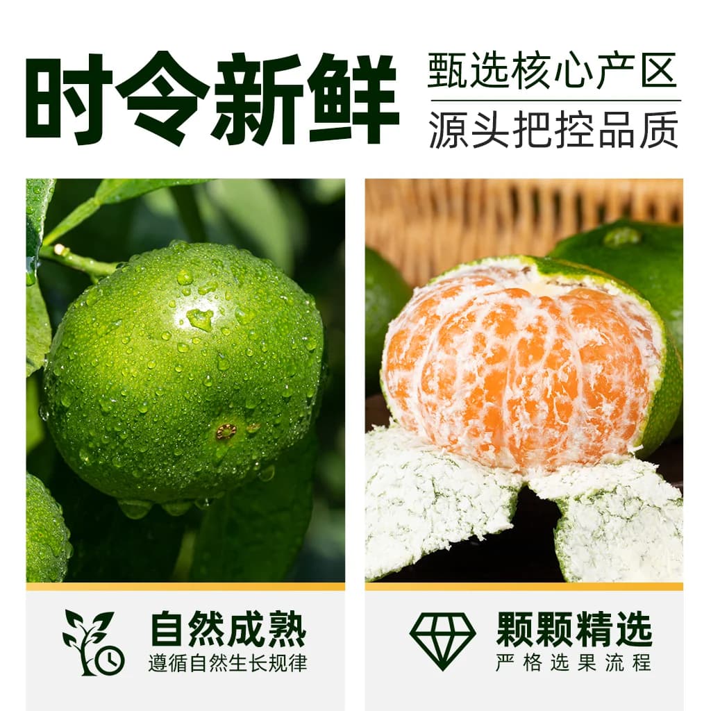 猫超臻选江西寻乌蜜桔新鲜现摘青皮酸甜多汁薄皮孕妇水果产地直发 - 缩略图2