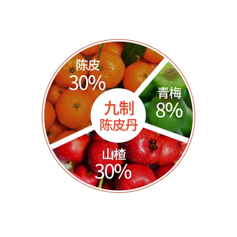 佳宝九制陈皮八仙果丹小罐装童年老鼠屎华华丹儿时怀旧零食 - 缩略图3