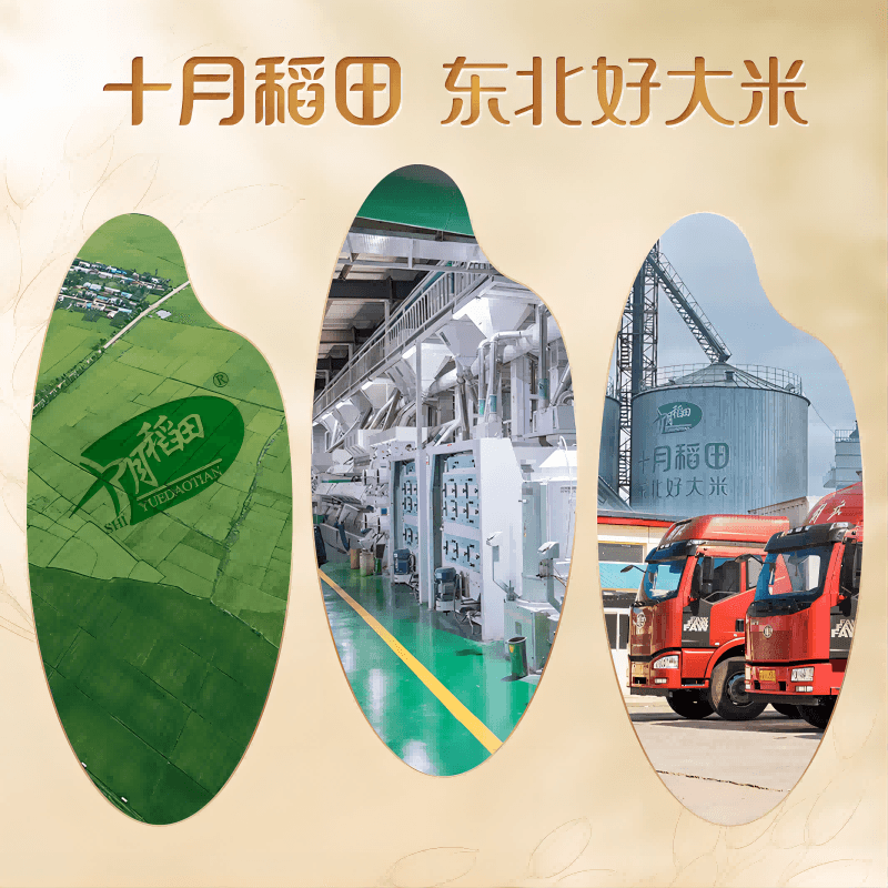 2025年新米十月稻田长粒王香米10kg东北大米 - 缩略图4