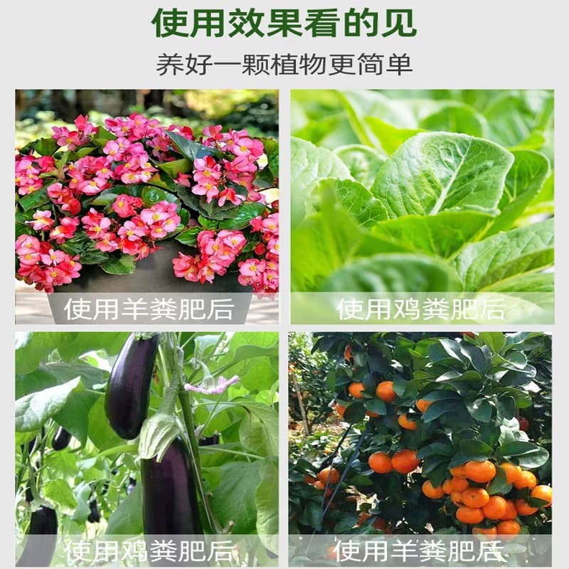 羊粪发酵有机肥 鸡粪肥 纯干羊粪蛋粒种菜花卉通用有机肥料蔬菜用 - 缩略图5