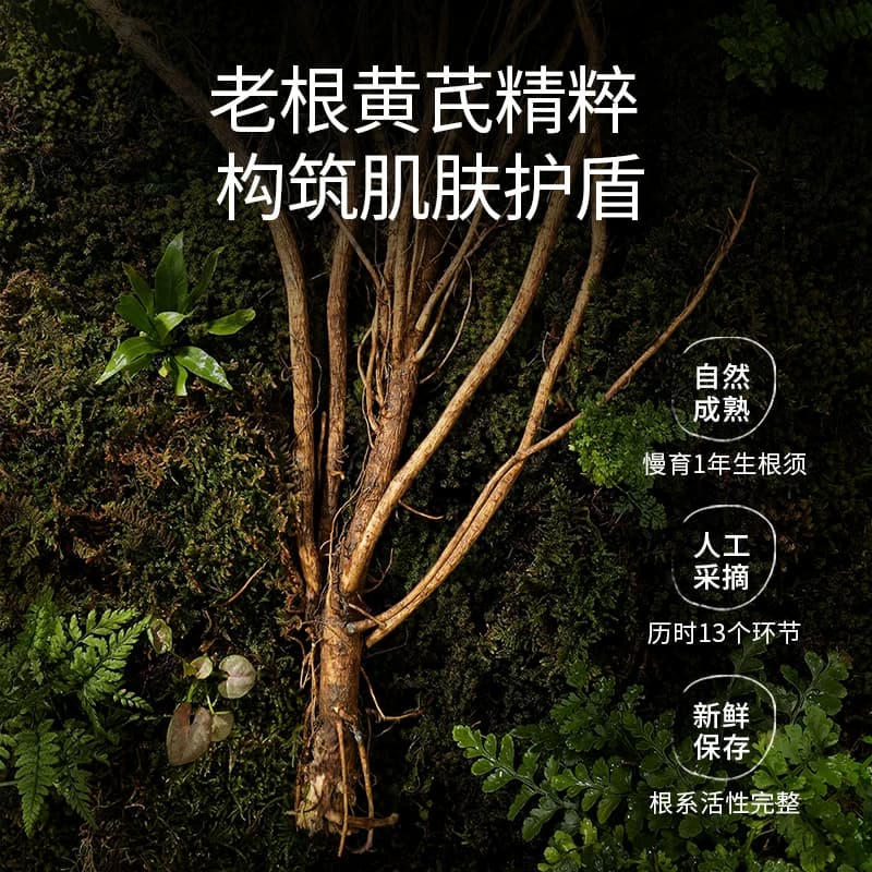 【油皮版】春娟黄芪面霜黄皮补水保湿滋润老牌国货官方正品旗舰店 - 缩略图3