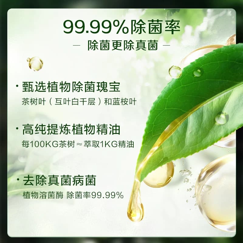 立白卫仕天然植物除菌洗衣液家用除真菌除螨茶香正品机洗手洗洗护 - 缩略图2