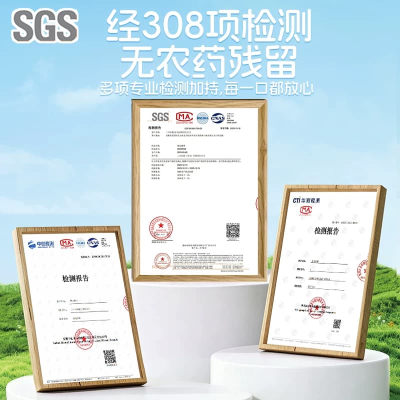 三只松鼠金装越南紫皮腰果430g罐装坚果腰果2026新货休闲健康零食 - 缩略图4