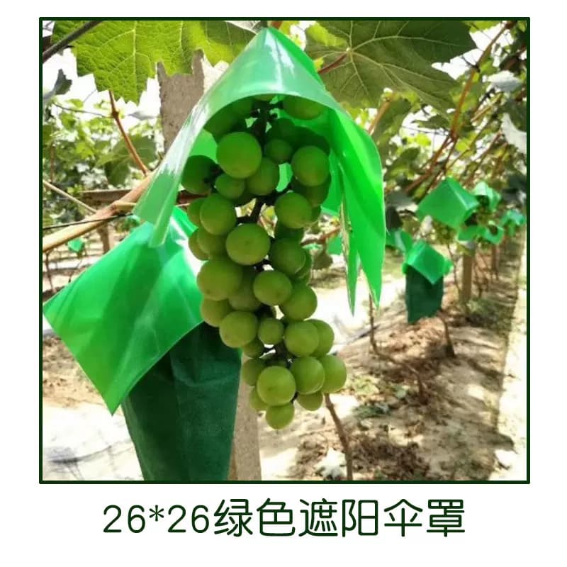 葡萄伞罩阳光玫瑰葡萄套袋专用袋防晒伞罩伞帽防日灼防裂果遮阳罩 - 缩略图2