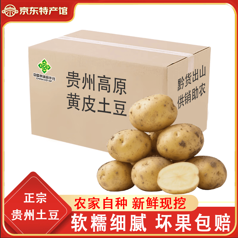 黔婆婆新鲜土豆蔬菜贵州高山马铃薯黄皮黄心早餐土豆泥麻辣烫火锅食材 黄皮土豆8.8斤箱装 （净重）