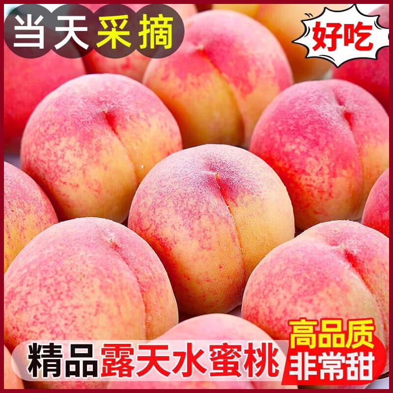 龙多鲜顺丰/京东 桃子 山西新鲜水蜜桃 脆甜毛桃现摘新鲜当季孕妇水果 整箱5斤精选好果约15-25个 净重4.5斤