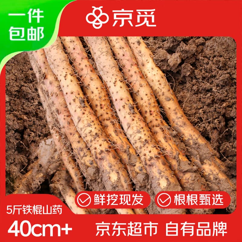 京觅焦作温县垆土铁棍山药5斤35-42cm+淮山药怀山药新鲜特产源头直发