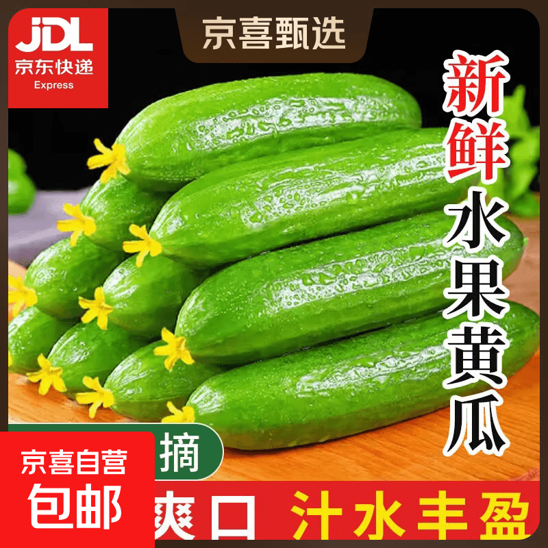 【超市品质】山东新鲜水果黄瓜嫩青瓜生吃蘸酱生鲜蔬菜减肥搭配 山东水果黄瓜 2斤 （净重 1.7斤）