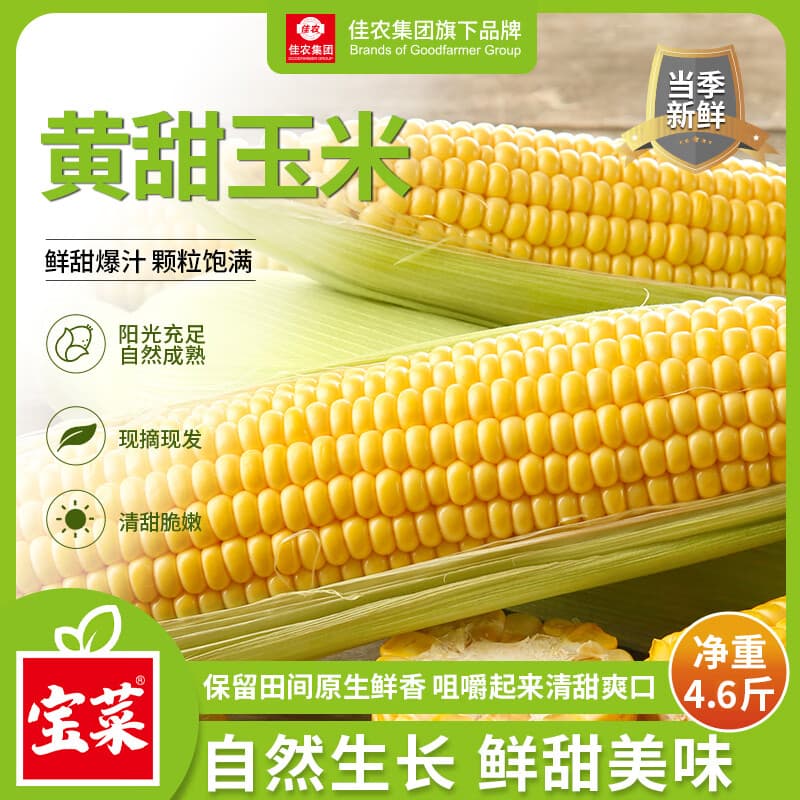 佳农宝菜山东带皮鲜水果玉米单根300g+净重4.6斤4-7根源头直发