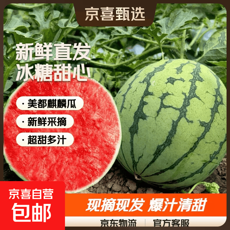 【新鲜直发】河南冰糖美都麒麟西瓜超甜多汁有籽无籽随机发 5-6斤【新鲜超甜】