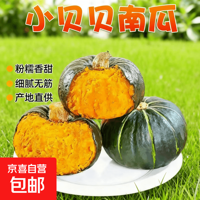 正宗贝贝南瓜板栗味粉糯香甜宝宝辅食新鲜蔬菜生鲜 贝贝南瓜宝宝辅食粉糯香甜 5斤