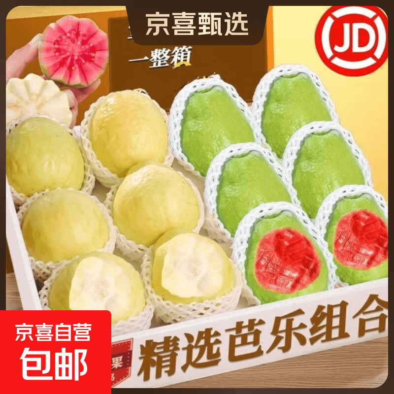 新鲜正宗广东产地直采红心白心芭乐双拼软糯香甜水果单果100g+ 3斤双拼净重2.7斤（红心2粒+）
