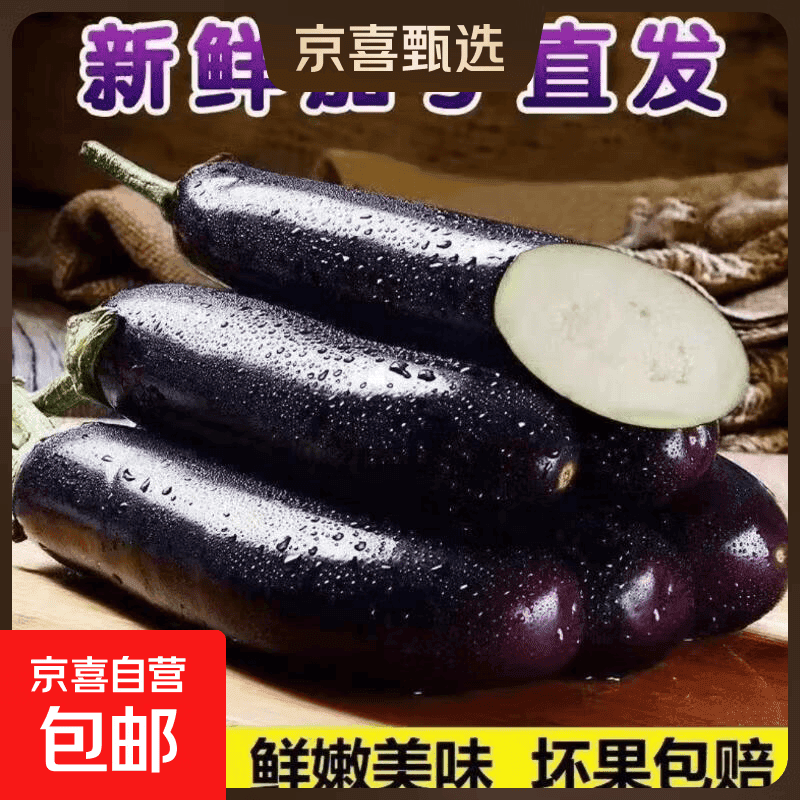 山东新鲜绿把紫皮长茄现摘现发新鲜嫩茄新鲜时令蔬菜生鲜 新鲜绿把紫茄2斤带箱 1.8斤 净重